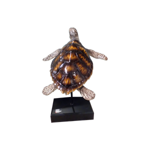 Ceramic Turtle on Stand