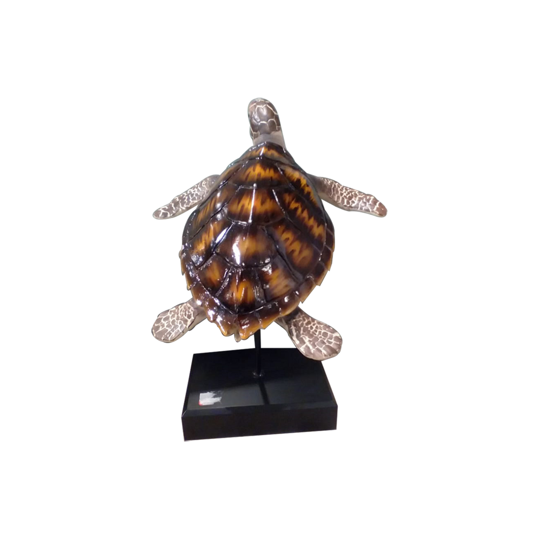 Ceramic Turtle on Stand