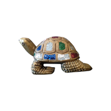 Load image into Gallery viewer, Studded Turtle
