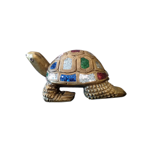 Studded Turtle