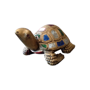 Studded Turtle